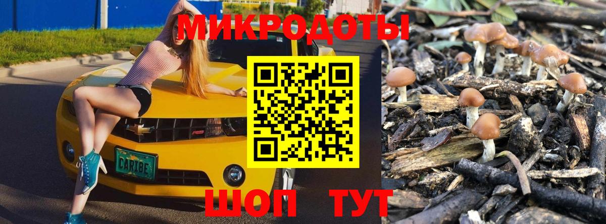 Северобайкальск  Псилоцибиновые грибы Psilocybine cubensis  Вход с VPN 