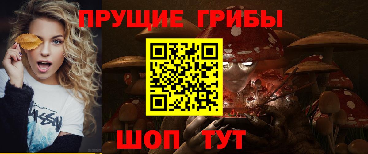 Галлюциногенные грибы GOLDEN TEACHER Северобайкальск